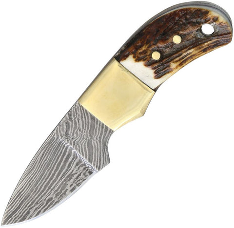 Fox-N-Hound Mini Skinner Damascus Knife